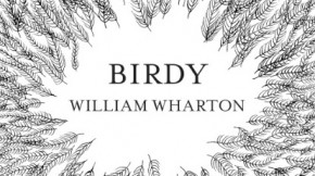 birdy-illustration